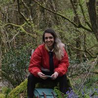 Negar Dashti的照片