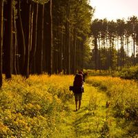 Kateřina Procházková的照片