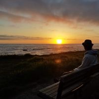 Mardin Soltanpanah's Photo