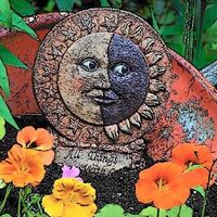 Sunnie Johnson的照片