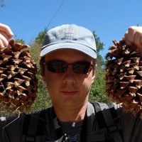 Dmitry Kisselev的照片