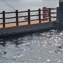 Foto de Sharing travel stories