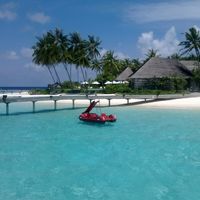 Samarpan Kafle的照片