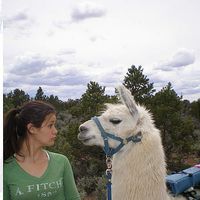 Bimini Wright's Photo