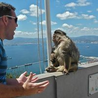 Dan McNichols's Photo