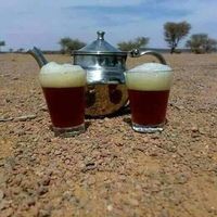 Fotos de Elbachir Tanouti