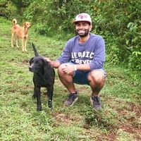 Thomas Pedersen's Photo