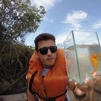 Zdjęcia użytkownika Adalto Araújo