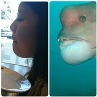 Фотографии пользователя Mio Kobayashi