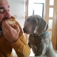 Sergio Fernandez Camacho的照片