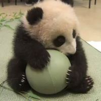 Fotos de Maria Ferdinand