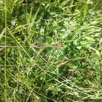 Stefan Markert's Photo