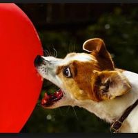 Fotos de Martín de la Parra