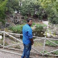 Vignesh Kr's Photo