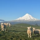 Two days Trip To Taranaki 的照片