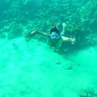 Khaled Mohamed's Photo