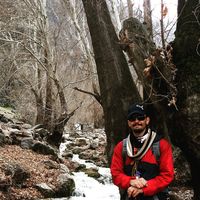 masih zamani的照片