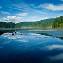 VanCrash 2025: Bowen Island Trip's picture