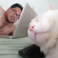 Luis Miranda's Photo