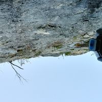 Nicolas Morzor的照片