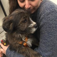 Photos de Federica Piaggio