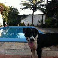 Ricardo Davila's Photo