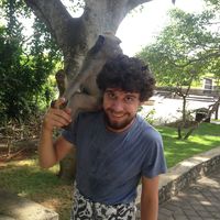 pierre delsaut's Photo