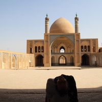 Fotos von Liz Hartemink