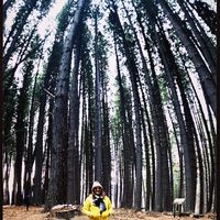 Fotos de Sheila Martin