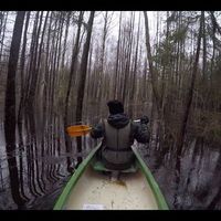 Agris Batanovs的照片