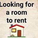 Renting A Room For A Year's picture