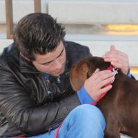 Luis Mallorca's Photo