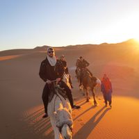 James Tolworthy的照片