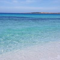 Barbara Patacchiola's Photo