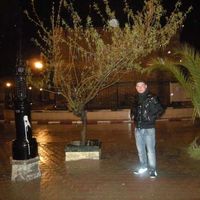 hamdaoui mourad的照片