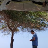 Kourosh Saadat的照片