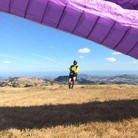 Chris Mertn的照片