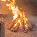 Camping & BBQ Nature Trip 🌿🔥's picture