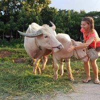 fanny wimbi的照片