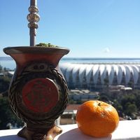 Marck Madeira的照片