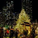 WINTERFEST TORONTO: Habourfront (free)'s picture