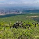 Photo de l'événement Senderismo Por El Cimatario 