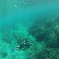 Benjamin Chabot's Photo