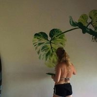 Alison Cutler的照片