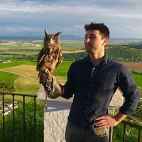 Mario Tarabbia的照片