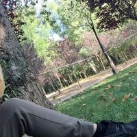 Adiola vrapi的照片