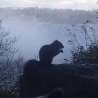 Wim Vanderlinden's Photo