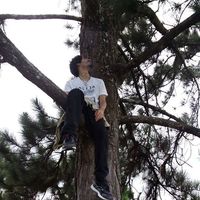 Fotos de Jonathan Reye