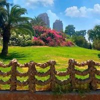 Photos de Aziza Abd ElRahim