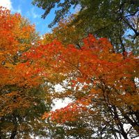 Mohamed Montreal的照片